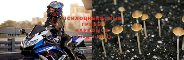 трава Бронницы