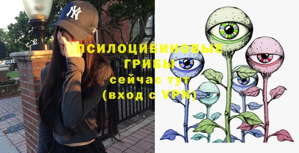 трава Бронницы