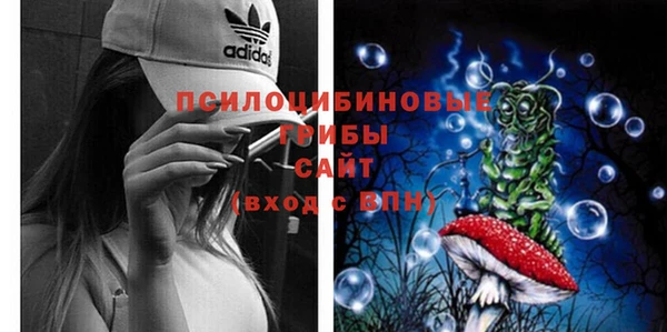 МДМА Бородино