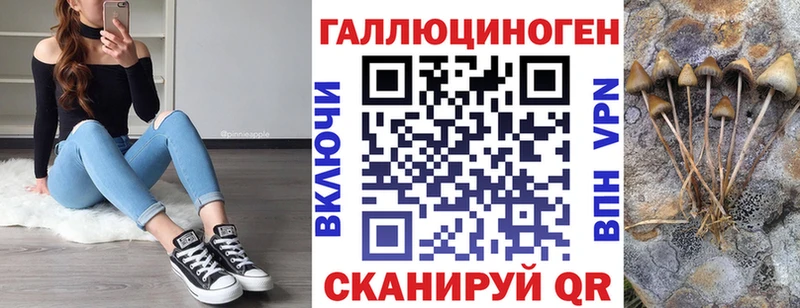 ссылка на мегу ссылки  даркнет как зайти  Галлюциногенные грибы MAGIC MUSHROOMS  Новосиль 